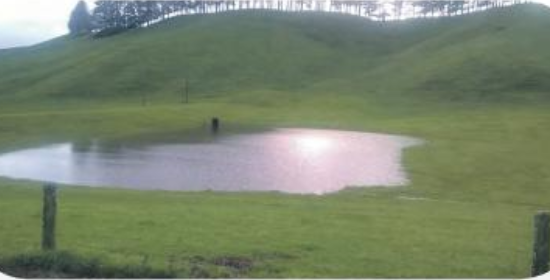 Surface flooding in a paddock.