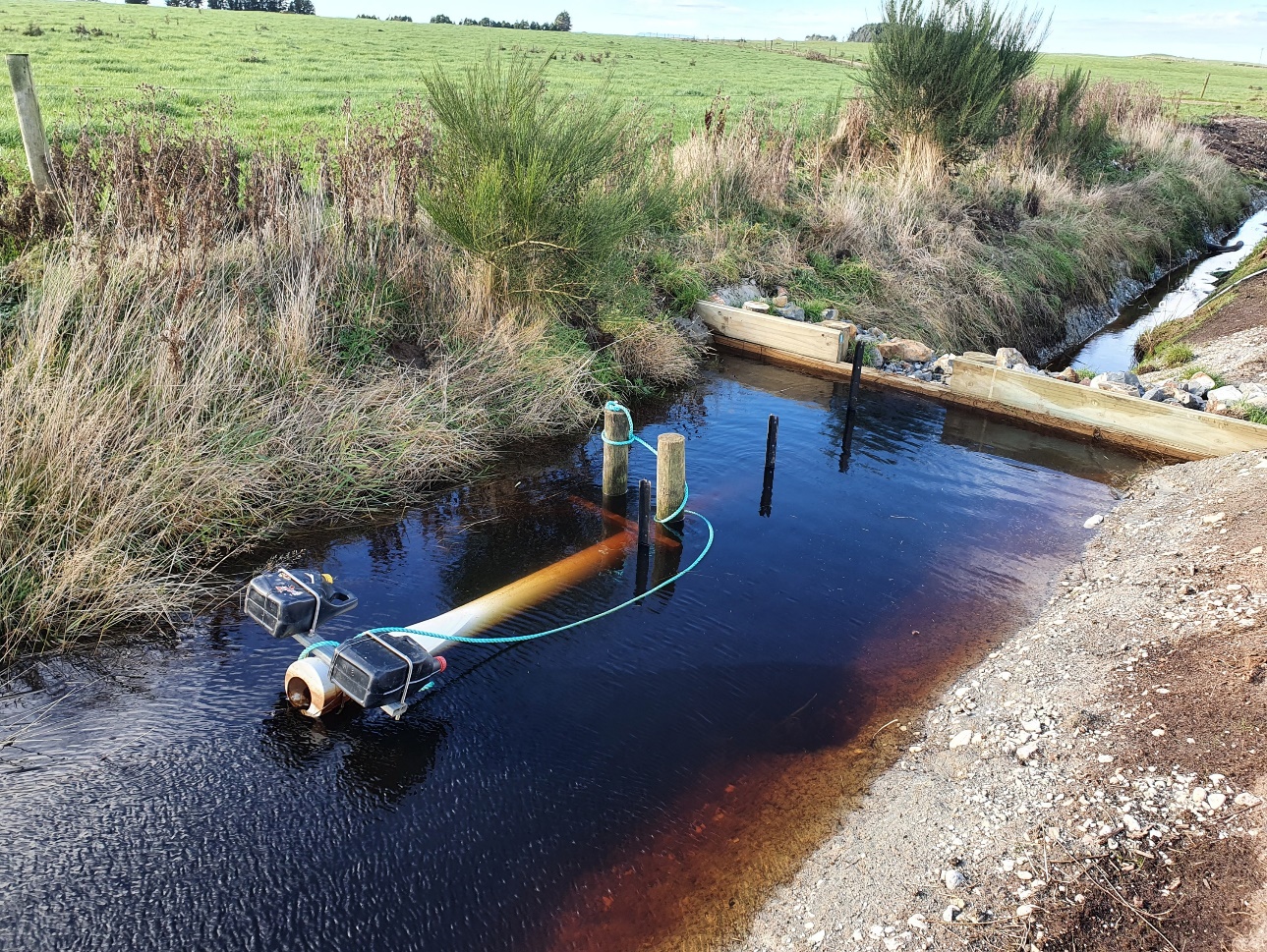 Same ditch as above with approx. 1 meter deeper water and the drainage pipe draining water