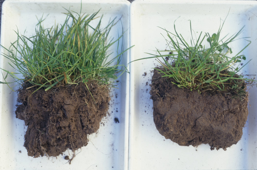 Scientific photo of a clump of dirt and grass next to another clump of dirt, but much more smooth and no visible grass-roots.