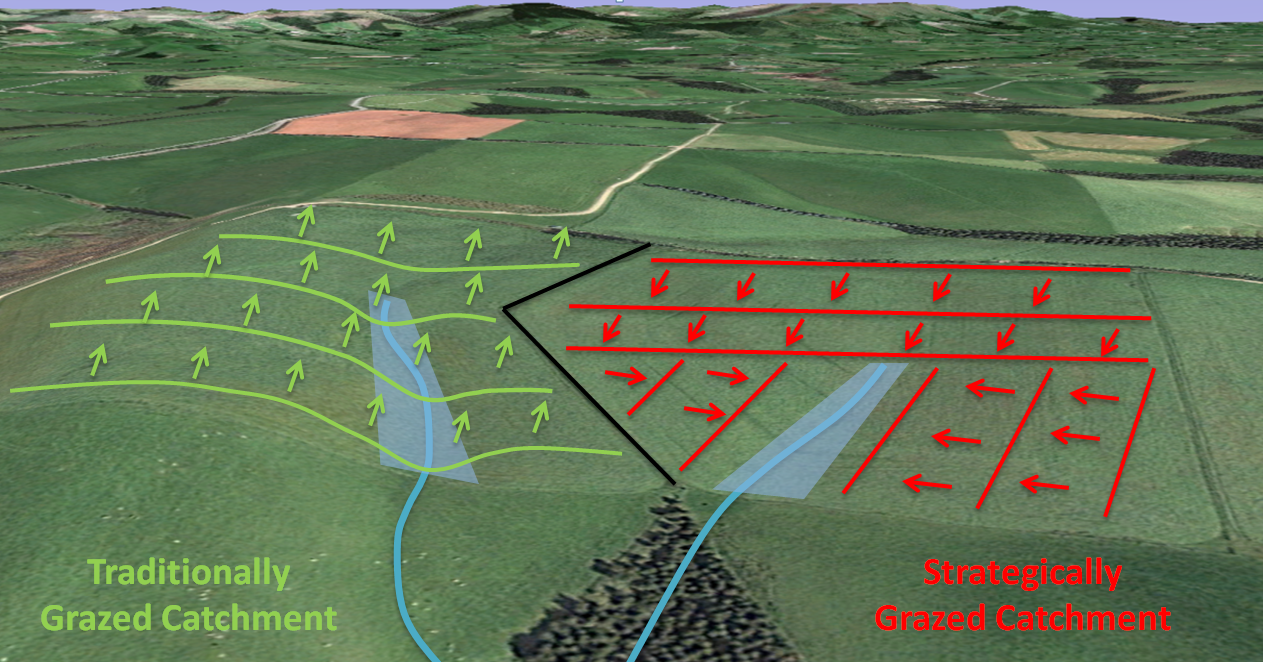 Annotated map of paddocks with lines indicating breaks and arrows indicating grazing direction.