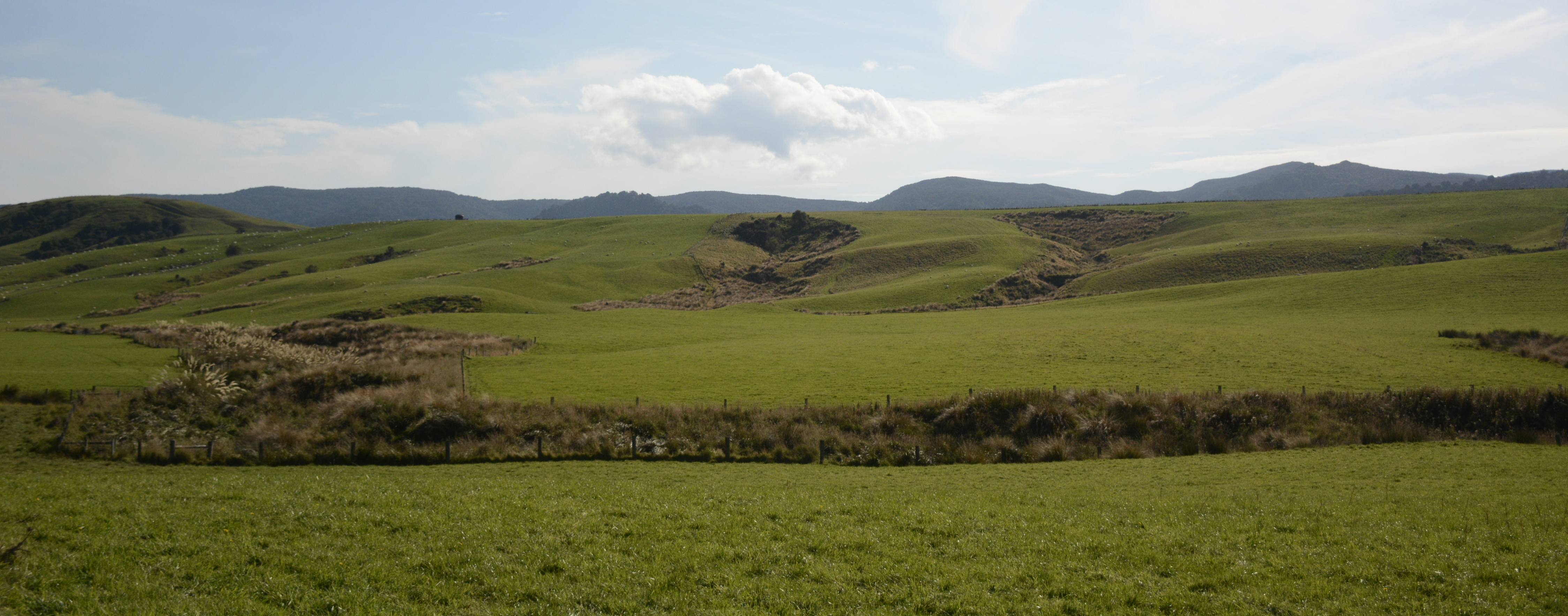 Long shot of a paddock with a creek and two gullies fenced off and planted out with tussocks.