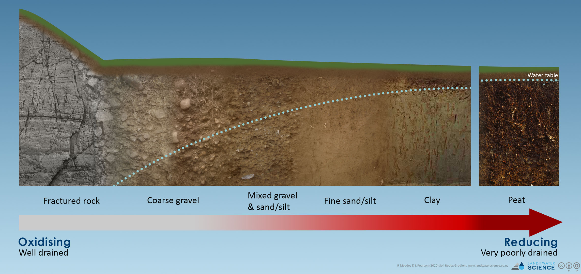 2D diagram showing the soil environment changing from Oxidising to Reducing as the water table and soil type changes.