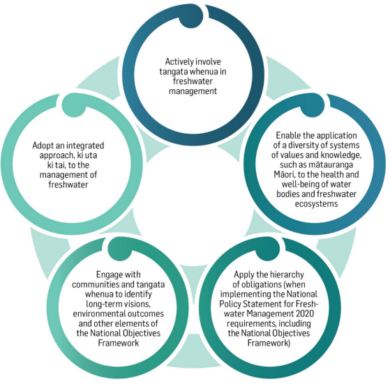 2D diagram showing 5 circles that each contain a guiding principle.