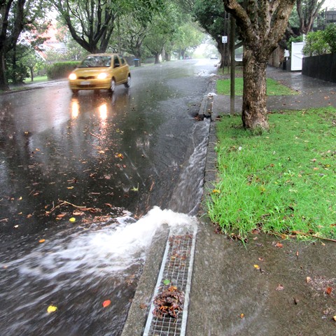 Water flowing down a gutter on a city street.